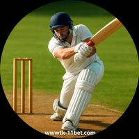 tk11 ক্রিকেট বেটিং বিভাগ, আপনার জন্য বিশেষ সেকশন